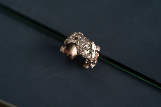 Cuff "Asteroidal belt" light
