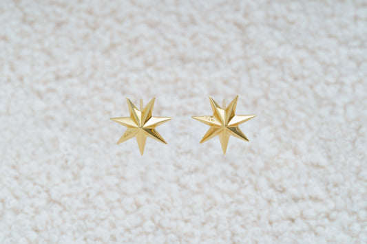 Earrings "Guiding Star"