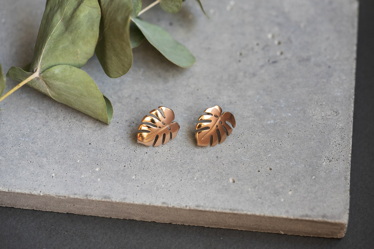 Earrings "Monstera"