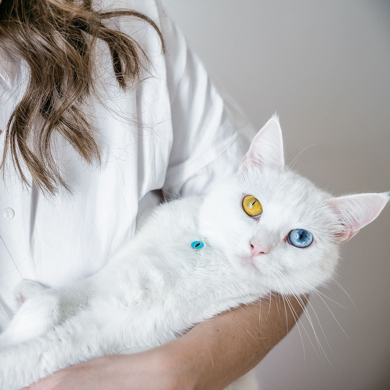 Pendant "Cat’s Eye" with enamel