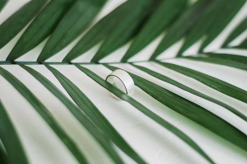 Ring "Simple" (8 mm)
