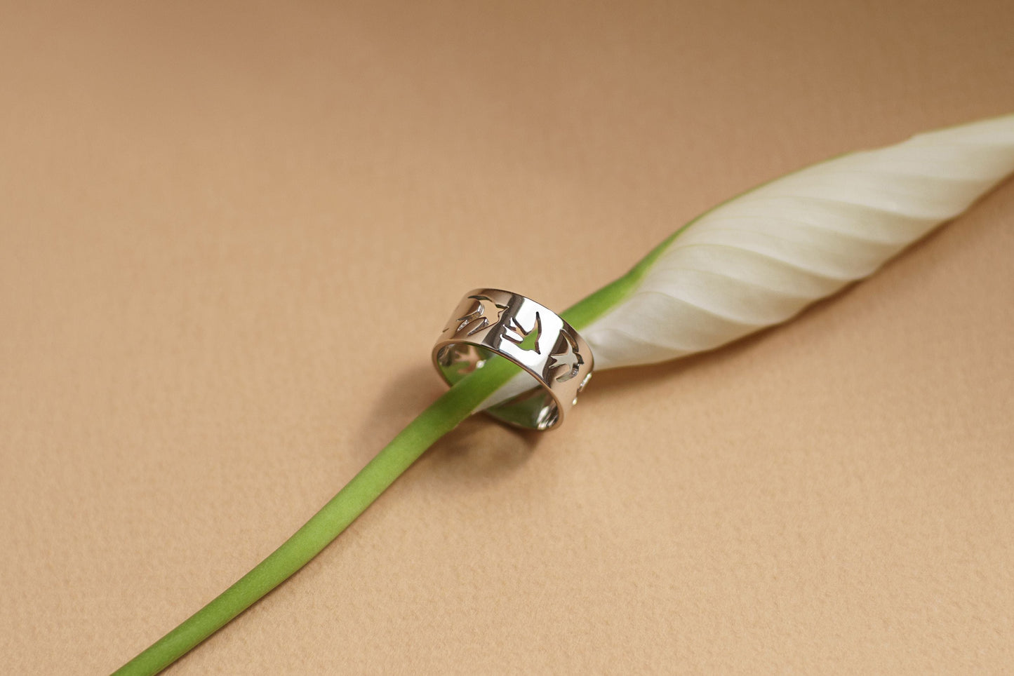 Ring "Swallows" (9 mm)