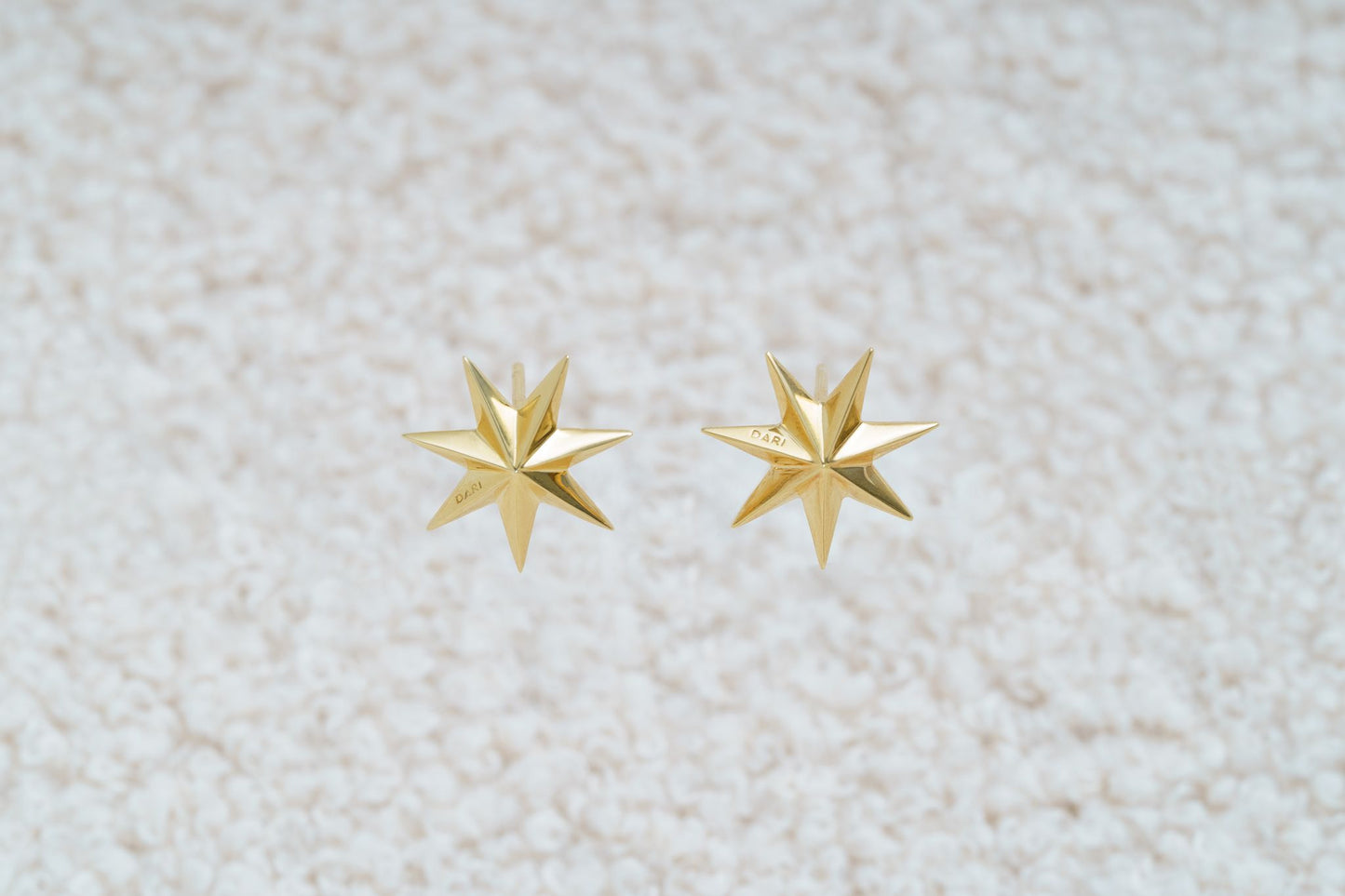 Earrings "Guiding Star"