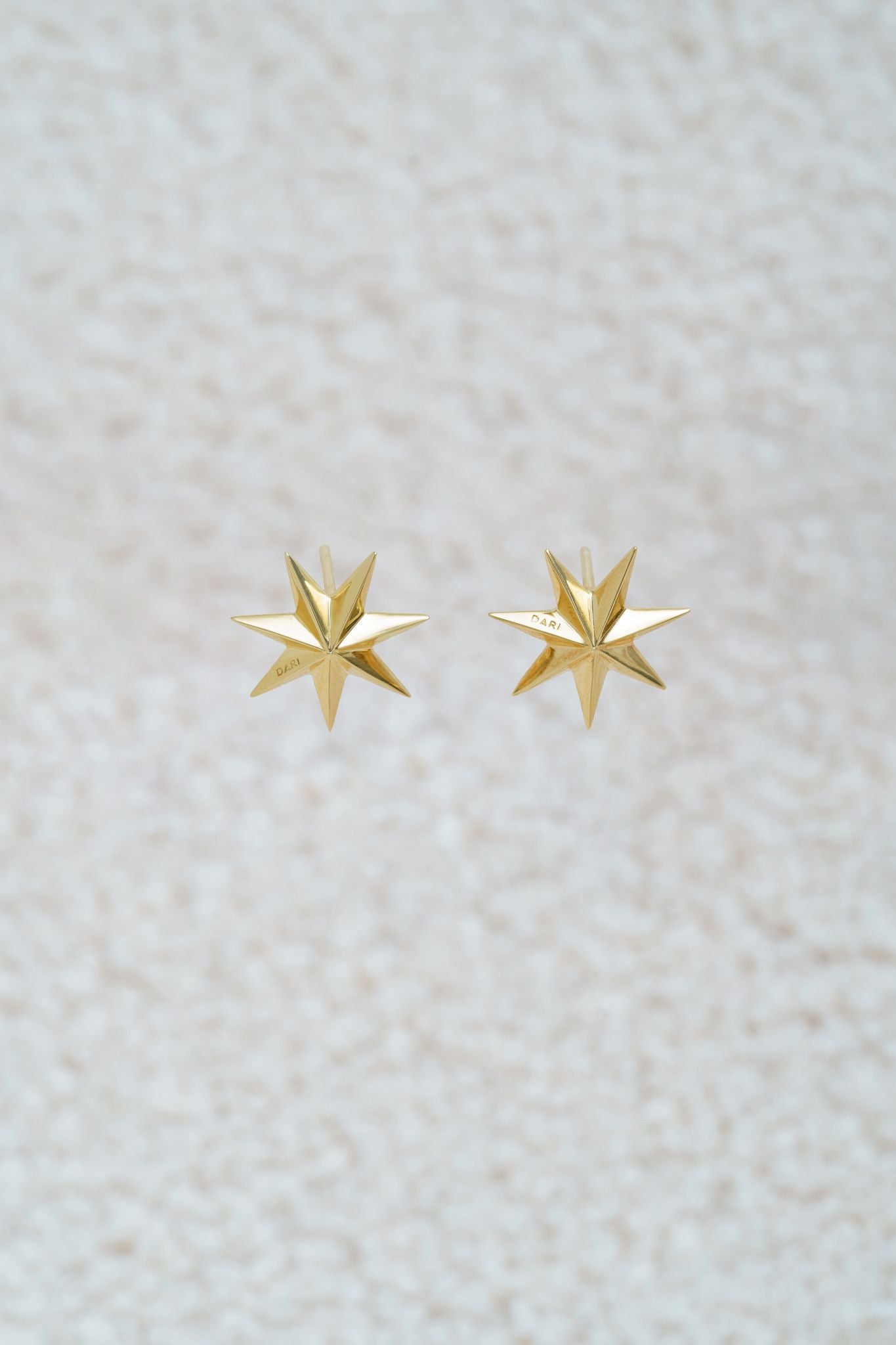 Earrings "Guiding Star"