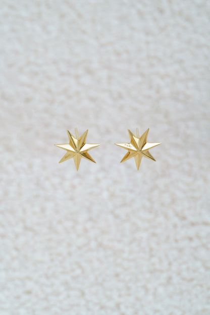 Earrings "Guiding Star"