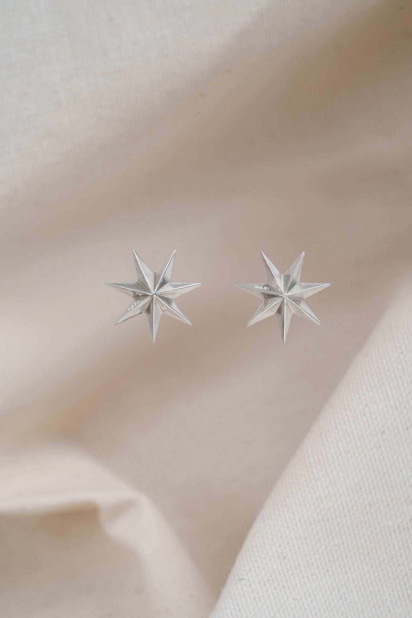 Earrings "Guiding Star"