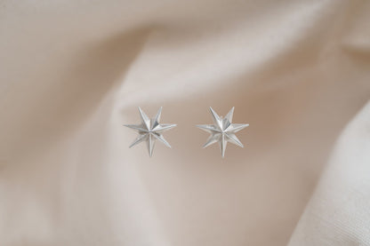 Earrings "Guiding Star"