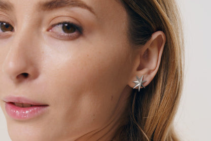 Earrings "Guiding Star"