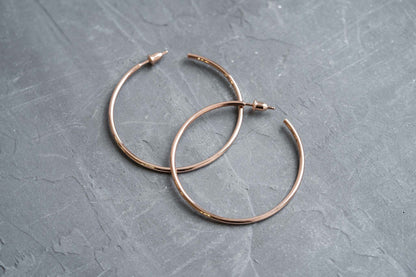 Earrings "RINGS"