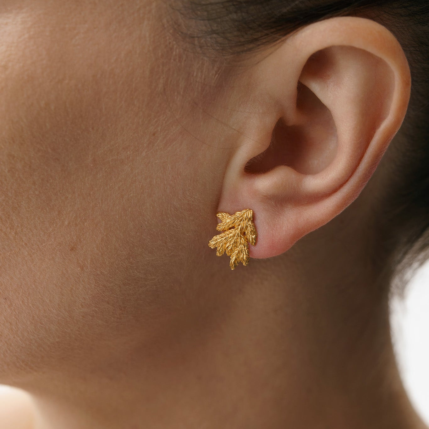 Earrings “Spruce Branch” light