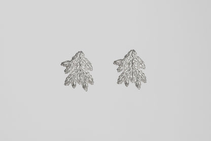 Earrings “Spruce Branch” light