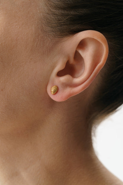 Earrings “Spruce cone” light