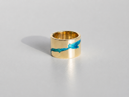 Ring "Dnipro" (13 mm)