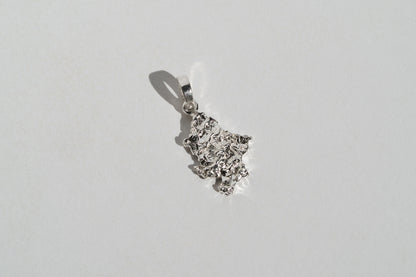 Pendant "Region of Ukraine" textured