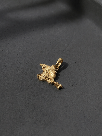 Pendant "Ukrainian Peninsula" textured