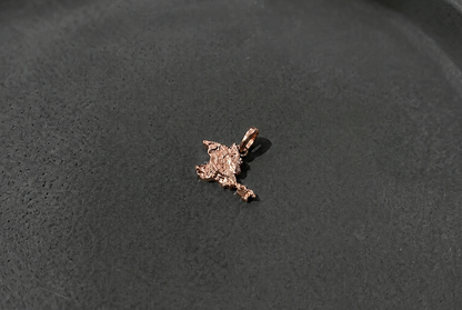 Pendant "Ukrainian Peninsula" textured