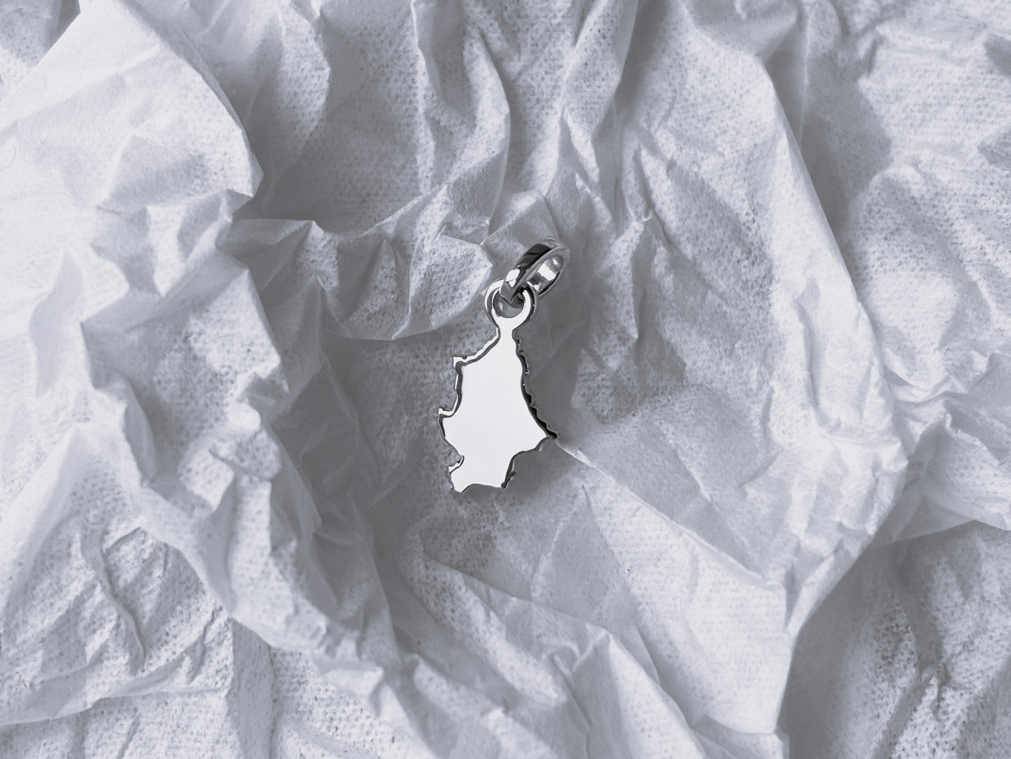 Pendant "Donetsk region"