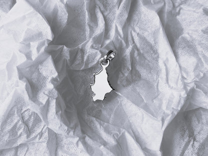 Pendant "Donetsk region"