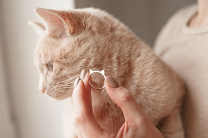 Ring "Ears" (Model 2)