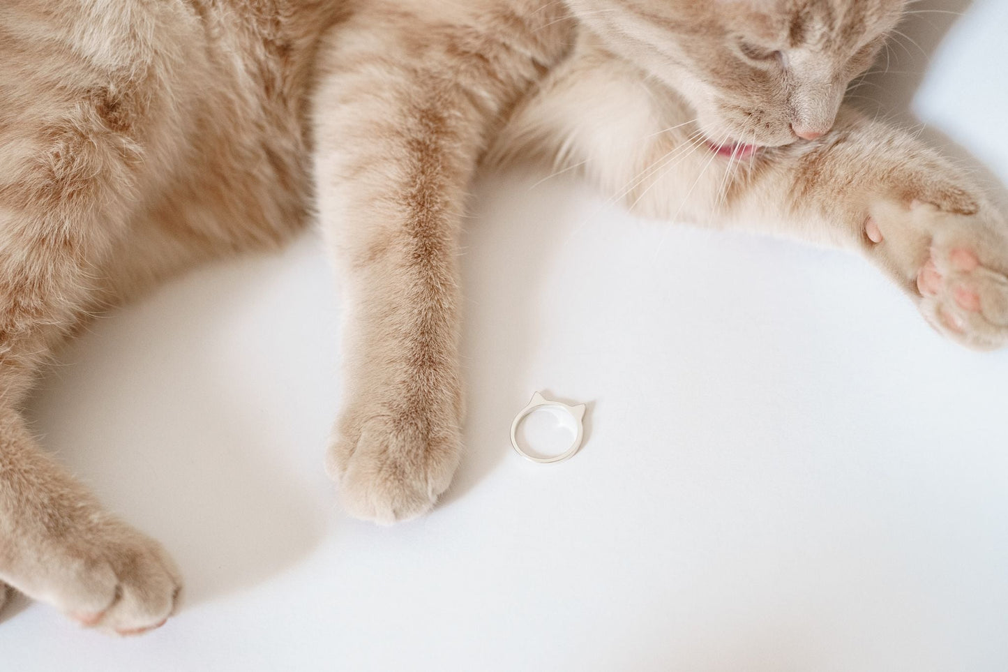 Ring "Ears" (Model 2)