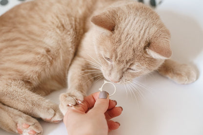 Ring "Ears" (Model 2)